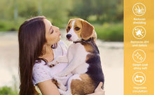 Load image into Gallery viewer, FurMist™ - Pet Steam Brush
