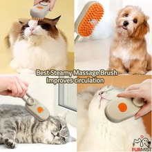 Load image into Gallery viewer, FurMist™ - Pet Steam Brush
